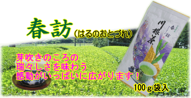 春訪