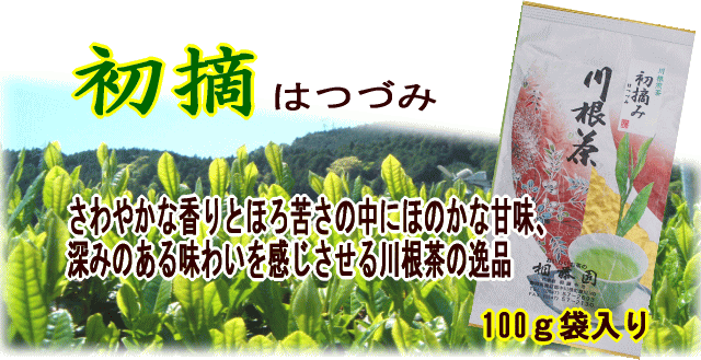 初摘