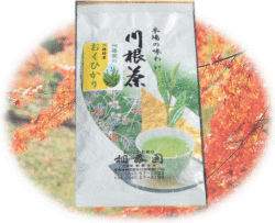 おくひかり100g入り