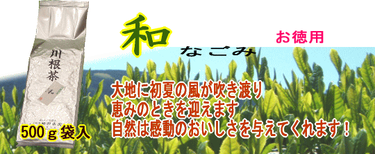 和500g