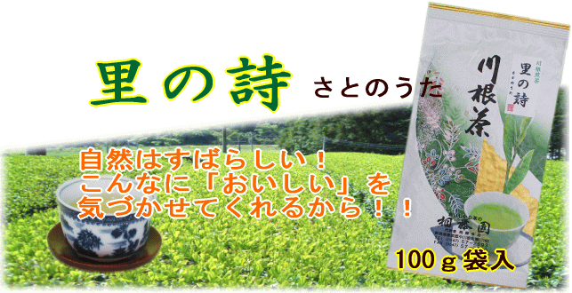 里の詩