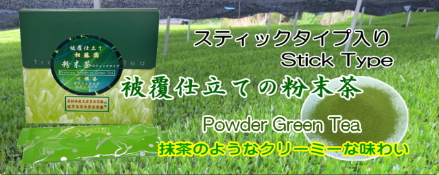 被覆仕立ての粉末茶（スティックタイプ）